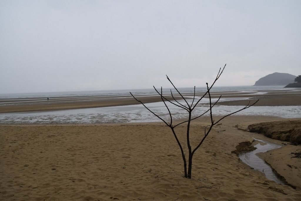 Chichibugahama Beach
