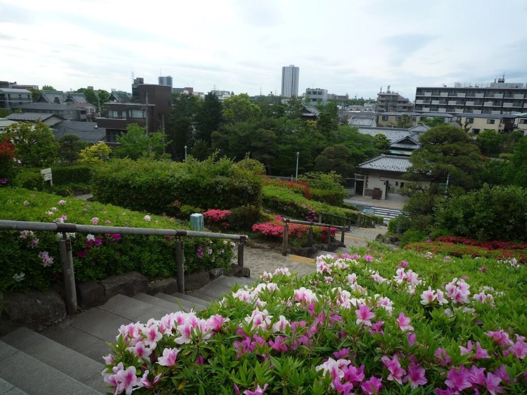 What to Do in Shibamata Tokyo in 2026: Top Attractions, Food & Cultural Experiences 21 Shibamata Park
