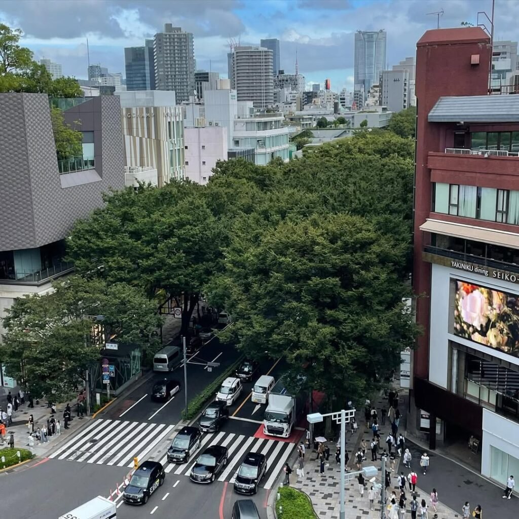 Omotesando Street in Tokyo