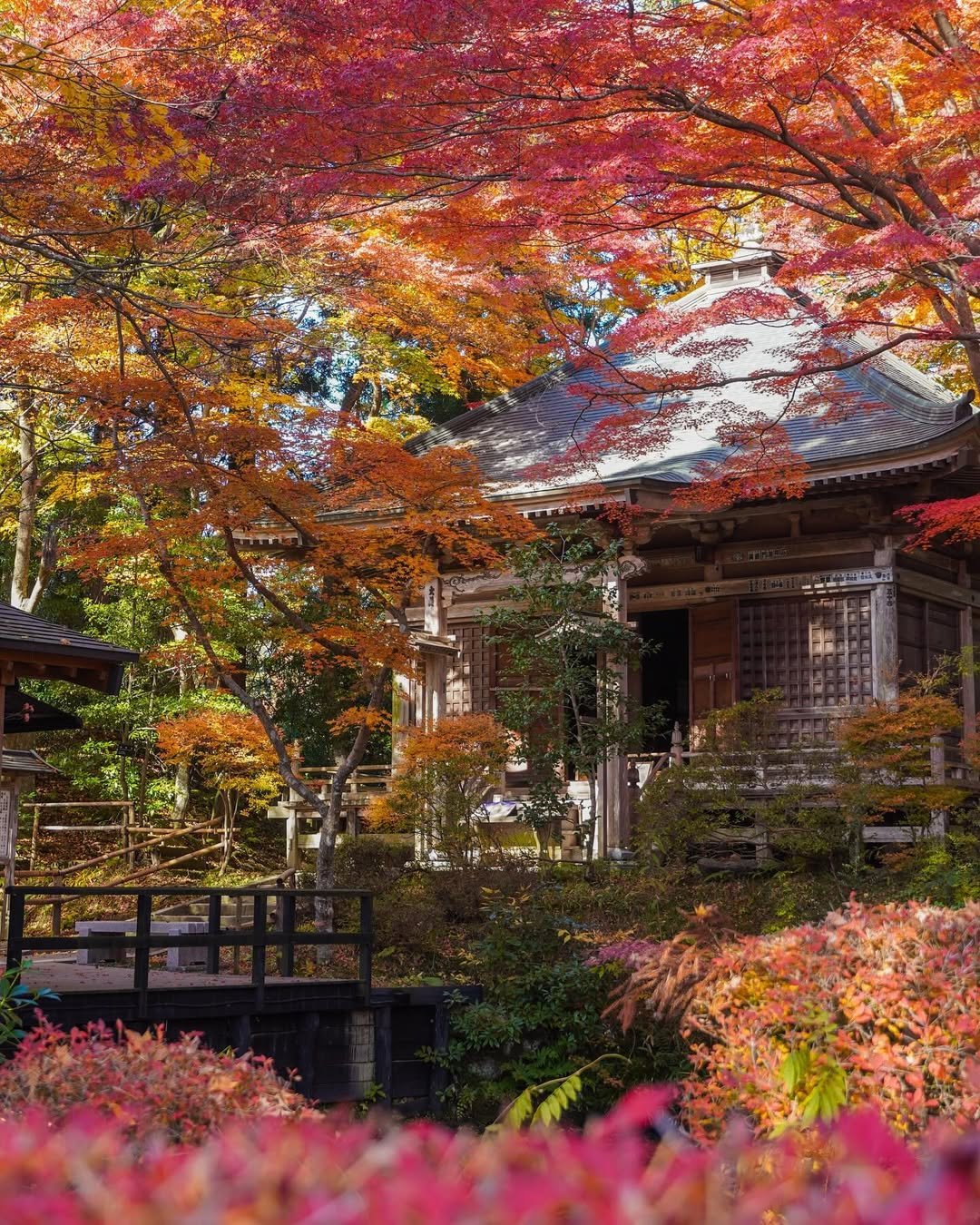 Go Off the Beaten Path (2026): 7 Most Underrated Places In Japan 20 Chusonji Temple Hiraizumi-Most Underrated Places In Japan