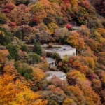 Two Weeks in Japan Itinerary
