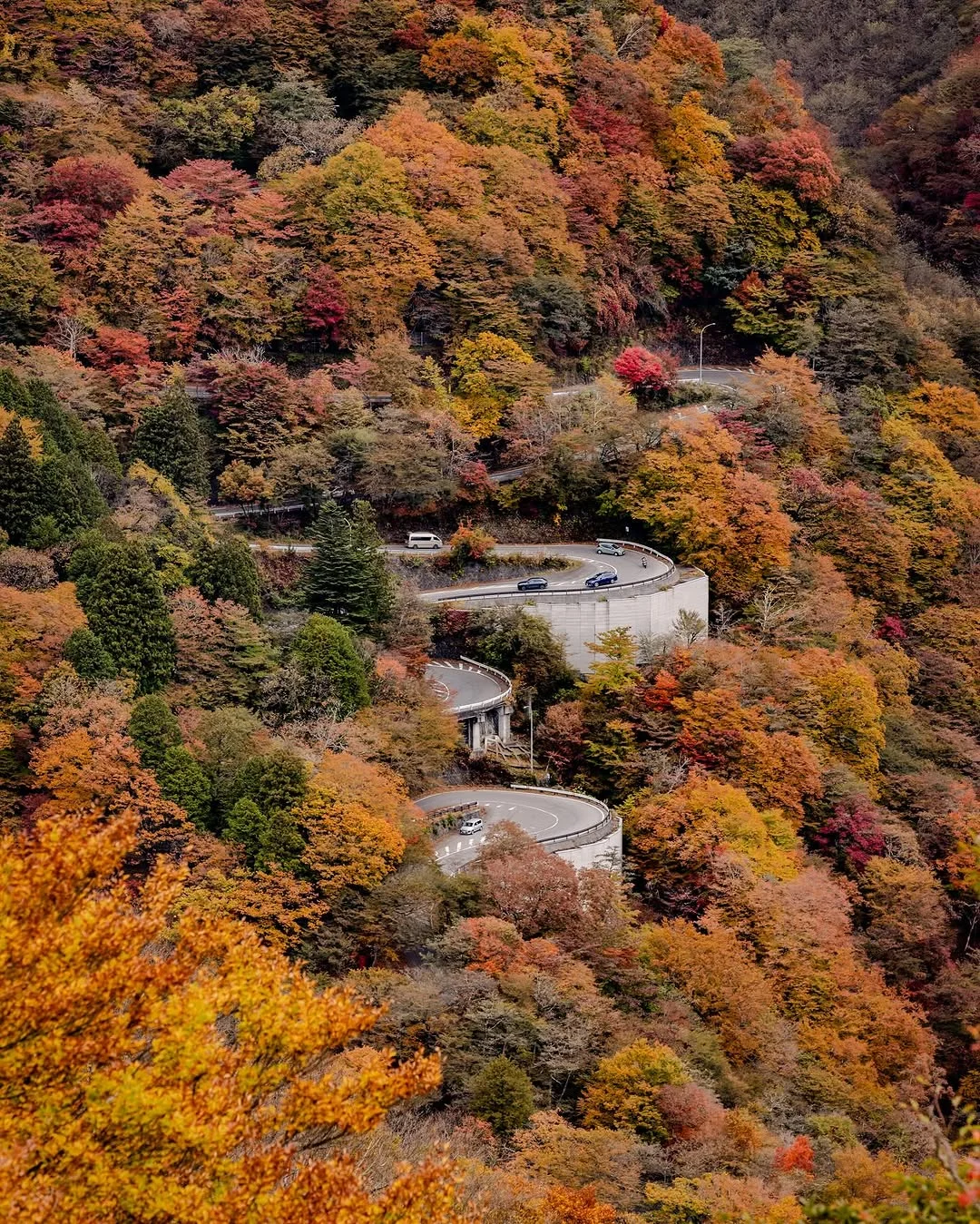Two Weeks in Japan Itinerary