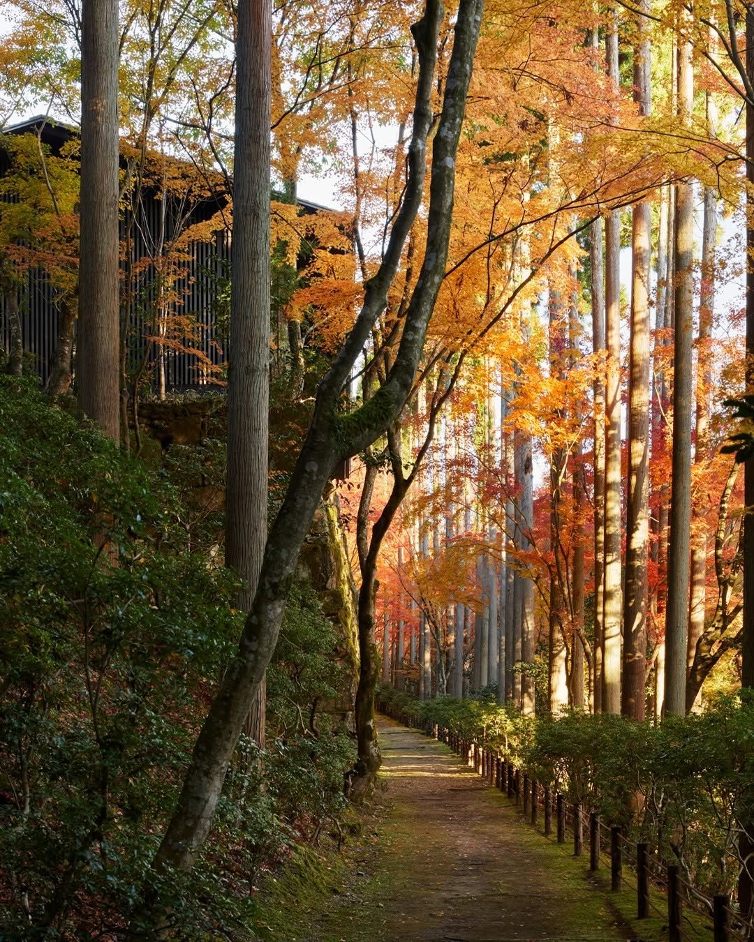 2026 Aman Kyoto Review: Is It Worth The Splurge? 14 Aman Kyoto location