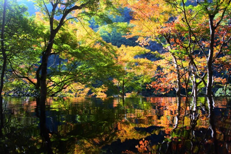 Arashiyama Yusai-tei