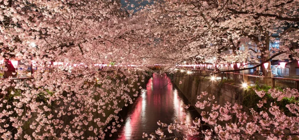 2026 Tokyo Travel Guide: 30+ Cool Things To Do in Tokyo, Local Eats & Insider Tips 41 Nakameguro- one of the hidden gems in Tokyo