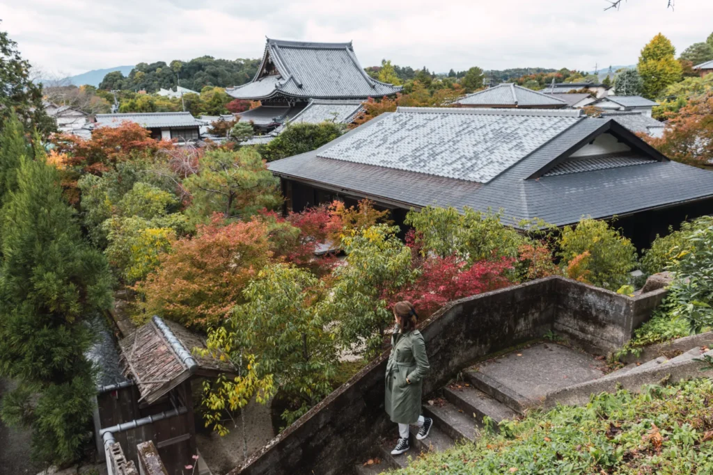 Perfect 3 Days in Kyoto Itinerary (2026): Explore Temples, Gardens, and Hidden Gems 21 Views of Kyoto from the Philosopher's Walk