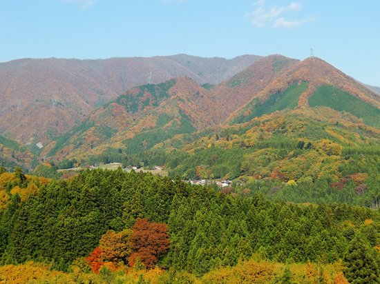 Nisshio Momiji Line
