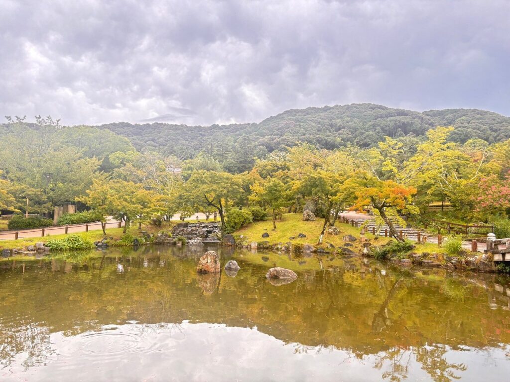 Perfect 3 Days in Kyoto Itinerary (2026): Explore Temples, Gardens, and Hidden Gems 14 Maruyama Park