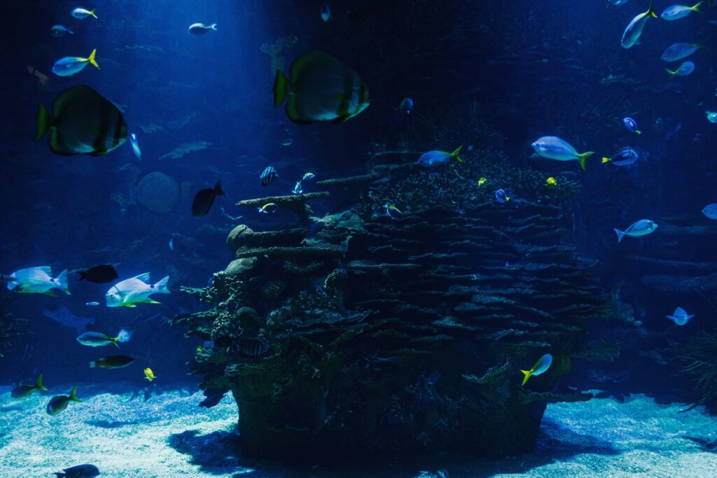  Kyoto Aquarium