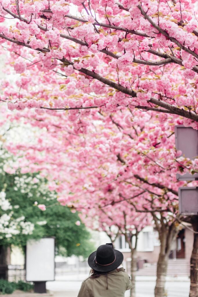 Packing List For Japan Trip Spring