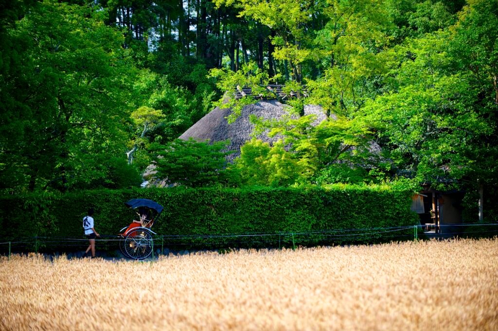 Rickshaw ride in Arashiyama
