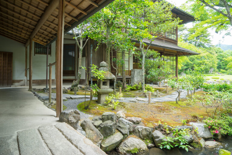 Best Kyoto Experiences