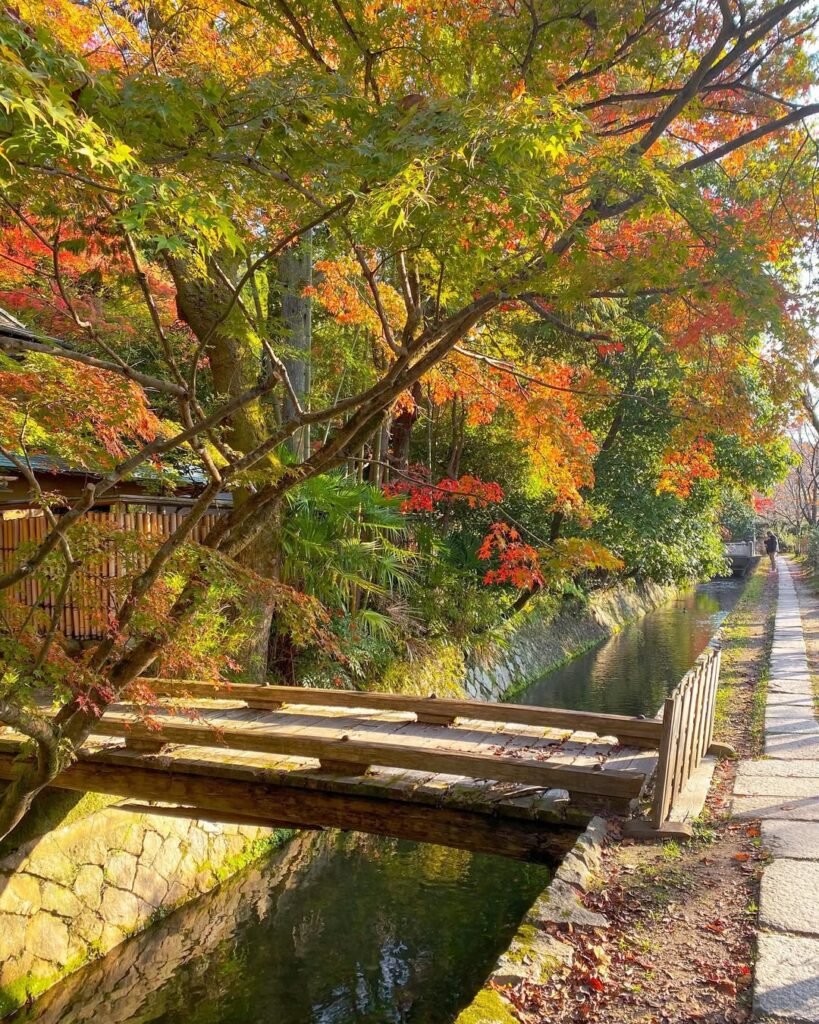 5 Best Kyoto Experiences (2026): From A Tranquil Zen Tour To An Atmospheric Walking Tour At Night 5 Philosopher’s Pathn in Kyoto