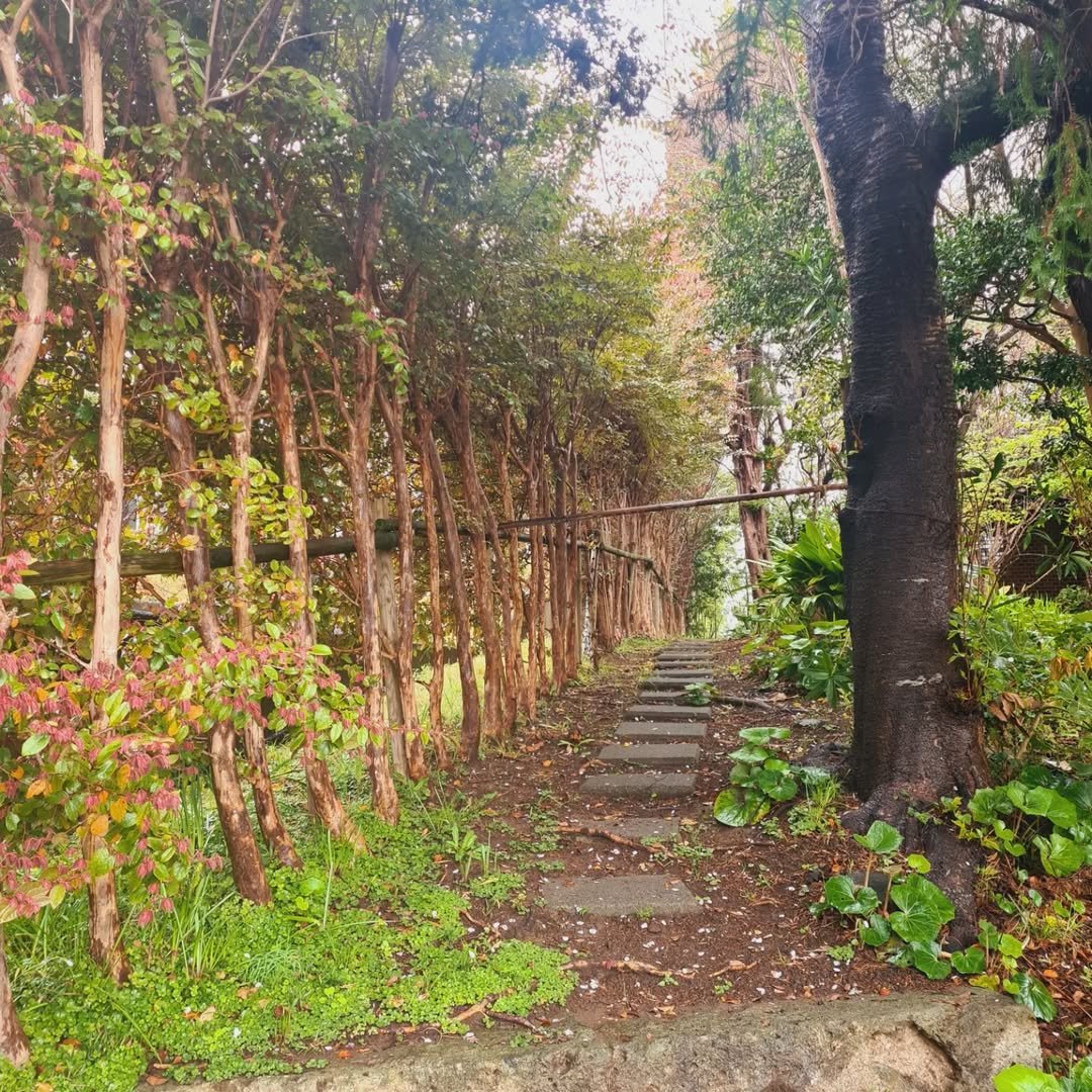 What to Do in Kamakura (2026): Zen Gardens, Sea Breezes, and Hidden Gems 10 Daibutsu Trail in Kamakura