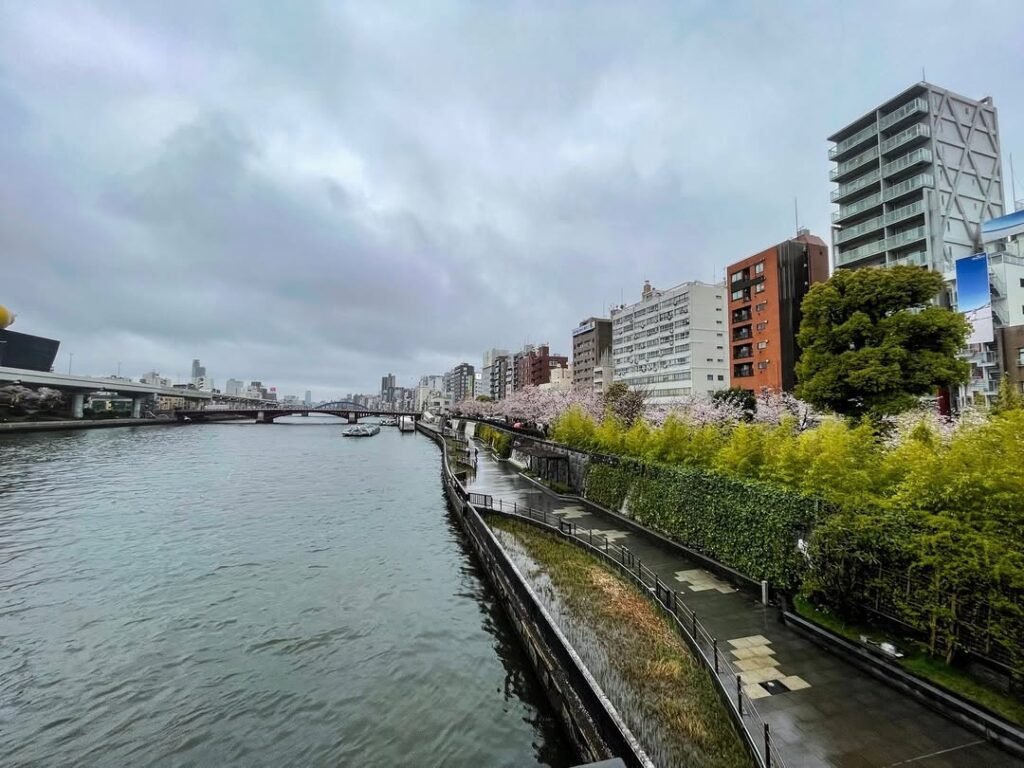 The banks of the Sumida River