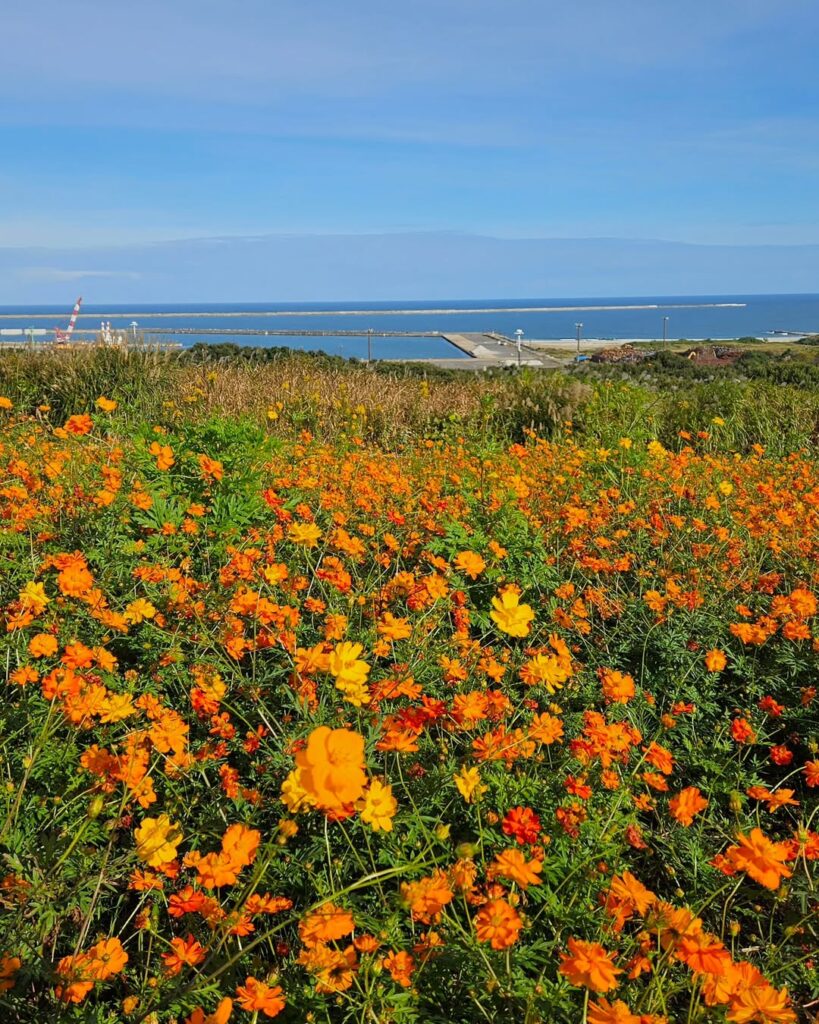 Hitachi Seaside Park