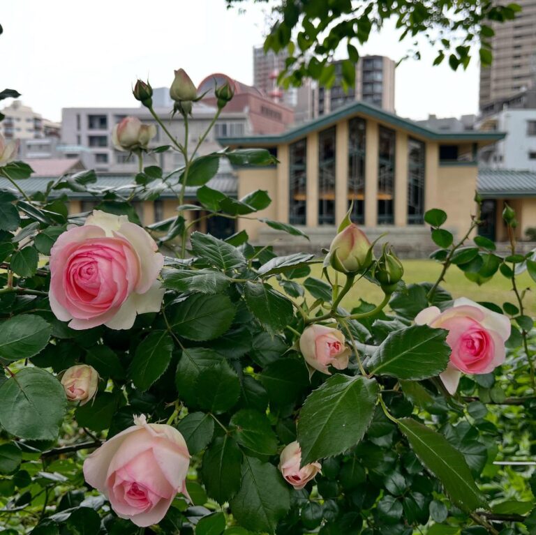 What To Do in Ikebukuro