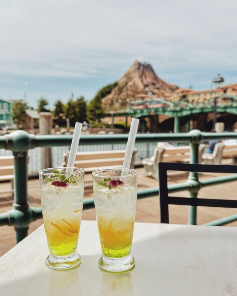 Tokyo Disneyland & DisneySea Tips (2026): Tickets, FastPass, Fireworks & More 11 Drinking at Tokyo Disneysea