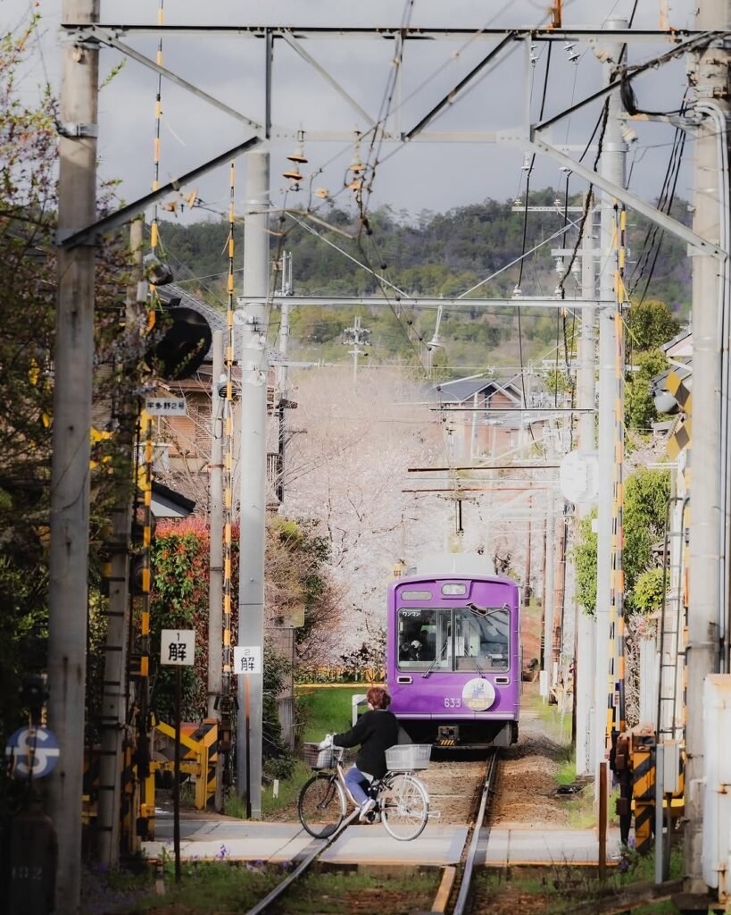 Is Japan Rail Pass Worth It in 2026: Pro Tips, Costs & Alternatives 10 Japan Regional Train