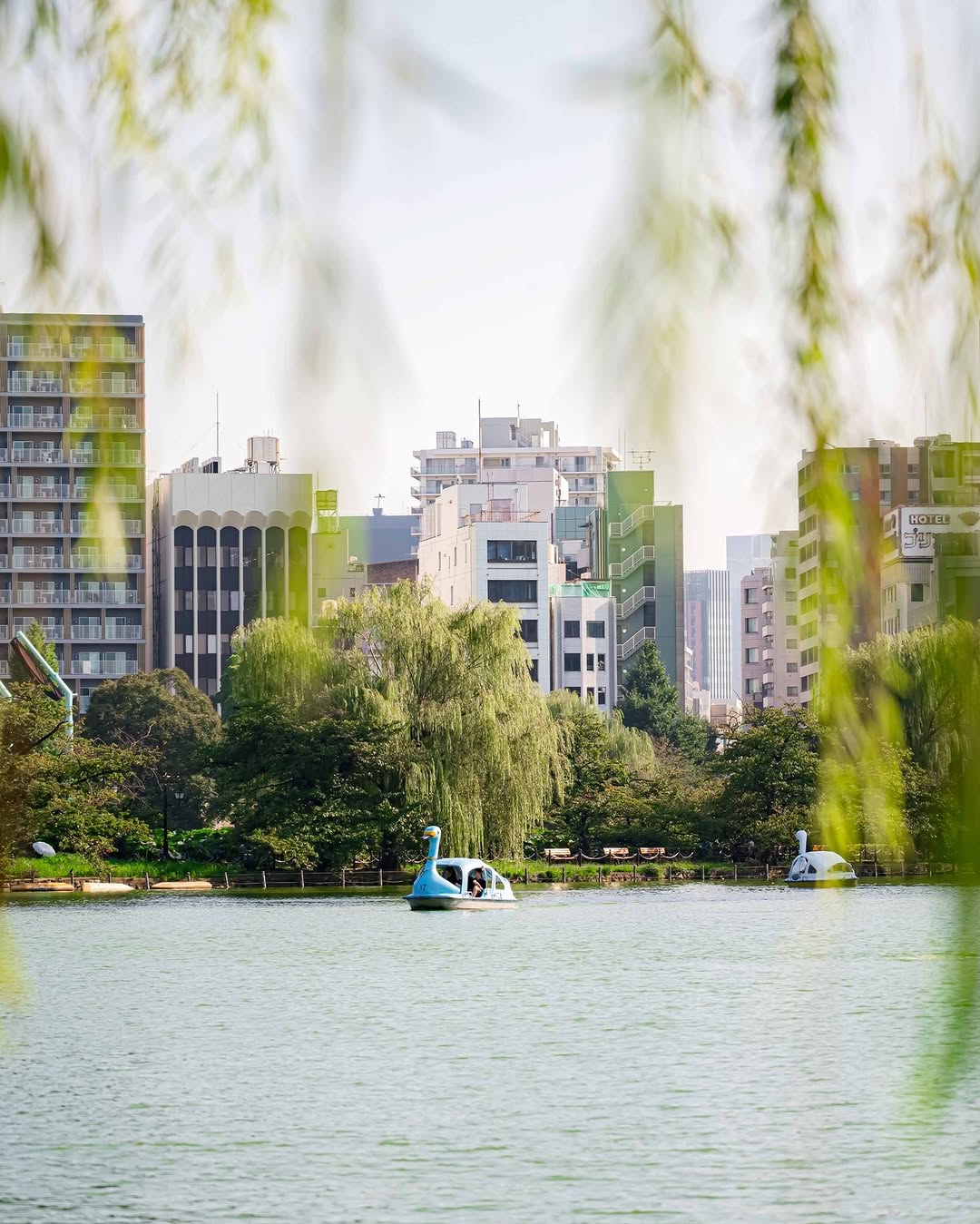 What to Do in Ueno Tokyo (2026): 20 Best Attractions, Eateries & Shopping Spots 7 View on Ueno park