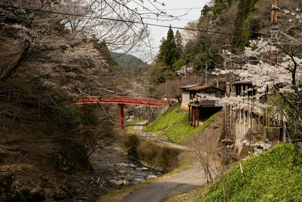 Karuizaewa Japan