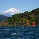 Best Cities To Visit In Japan