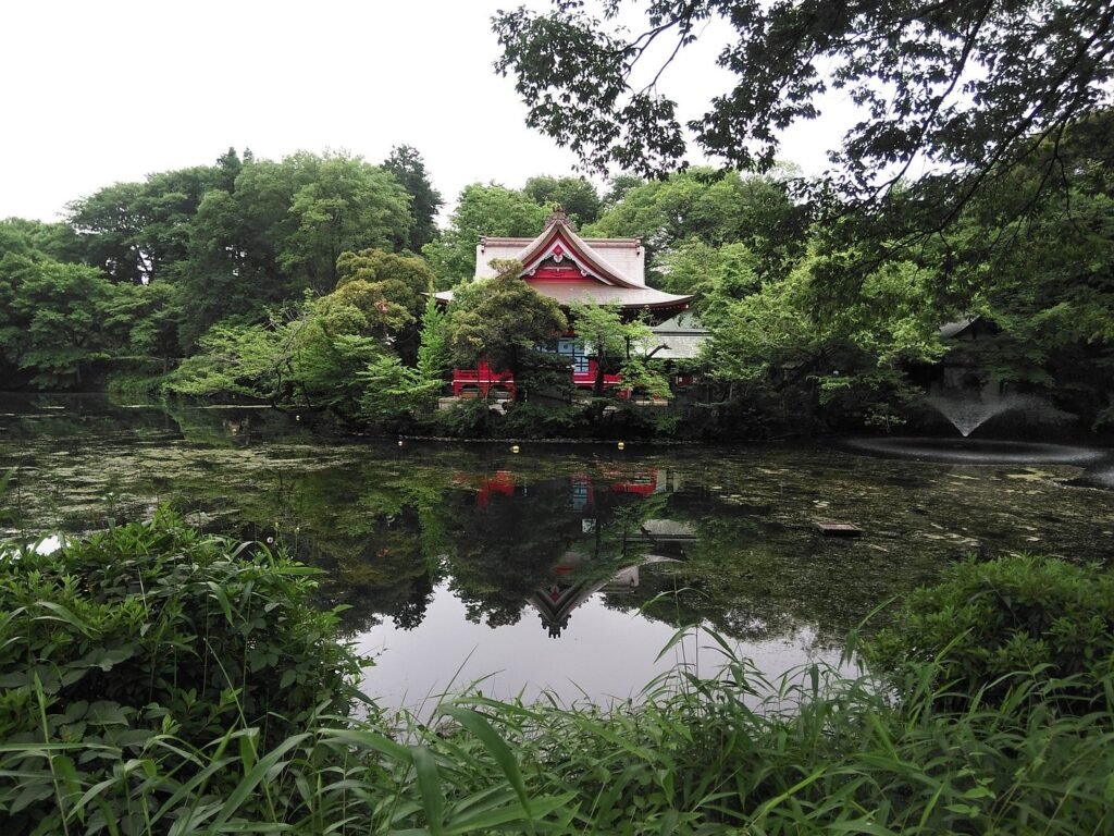 10 Cool Things To Do Solo in Tokyo (2026): Fun, Safe & Easy Ideas for Independent Travelers 16 Inokashira Park