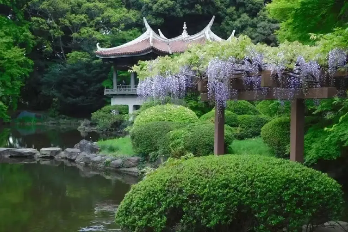 Perfect 9 Days in Tokyo Itinerary (2026): Ultimate Plan for Sightseeing, Shopping, and Street Food 28 Shinjuku Gyoen National Garden