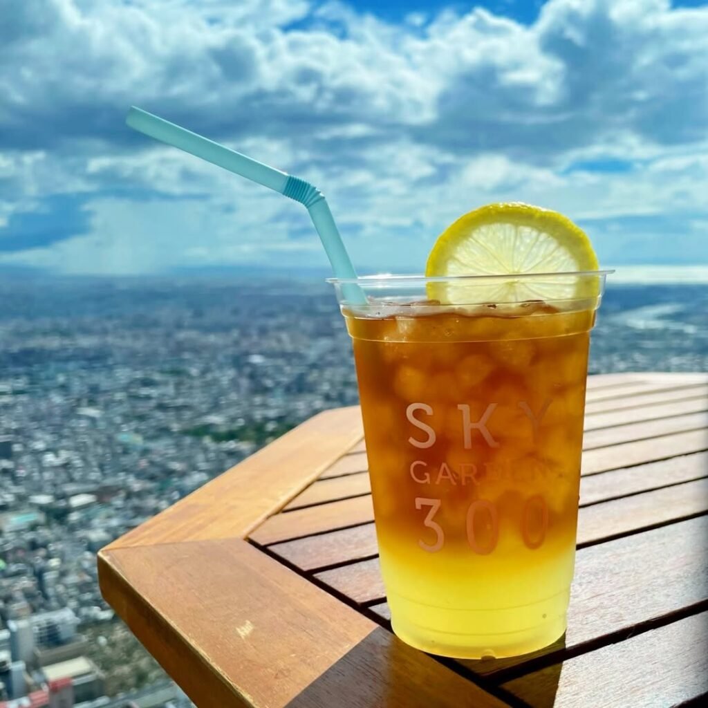 9 Best Rooftops in Osaka (2026): Sky Bars, Secret Terraces & Sunset Views 10 Harukas 300: SKY GARDEN 300 (Abeno Harukas Observatory)