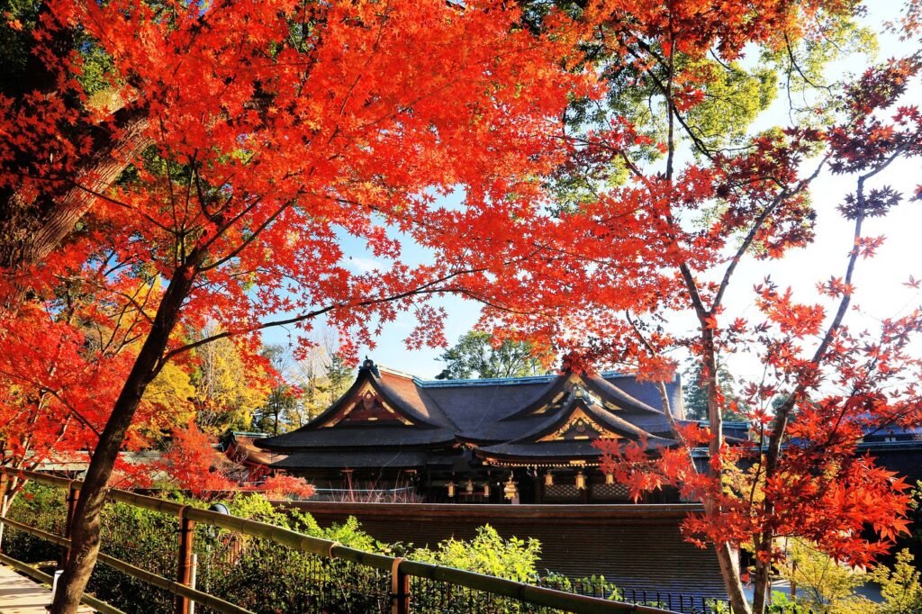 Romantic Things to Do in Kyoto in 2026: 25 Dreamy Date Ideas (Hidden Gems + Classics) 14 Kitano Tenmangu Shrine (Tenjin-san)