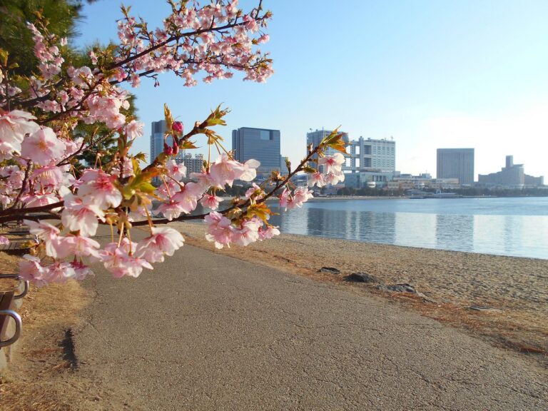 What to do in Odaiba