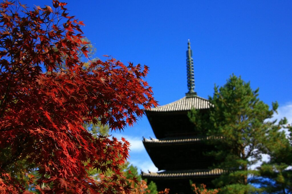 Romantic Things to Do in Kyoto in 2026: 25 Dreamy Date Ideas (Hidden Gems + Classics) 18 Ninna-ji Temple
