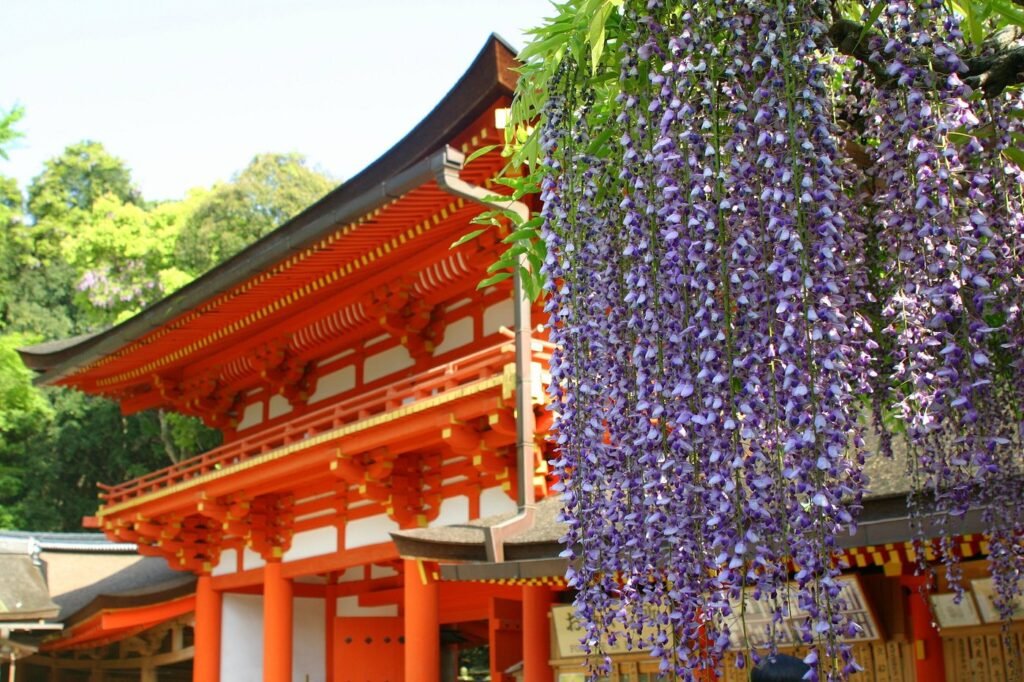 Perfect 1 Day Nara Itinerary (2026): Temples, Nature and Food 13 Kasuga-taisha Nara