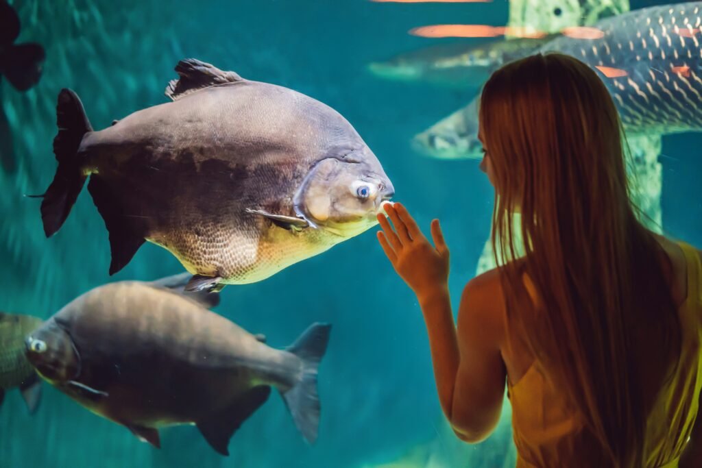 Romantic Things to Do in Kyoto in 2026: 25 Dreamy Date Ideas (Hidden Gems + Classics) 8 Kyoto Aquarium