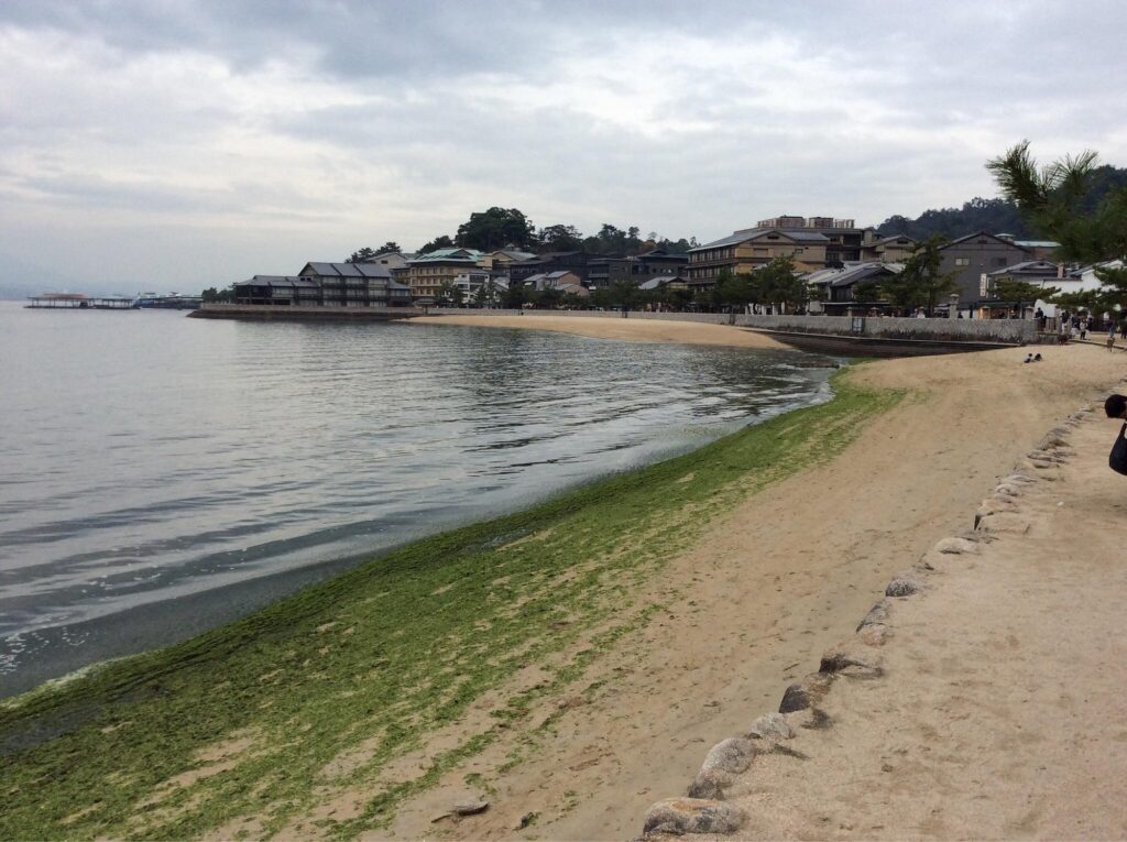Miyajima Village