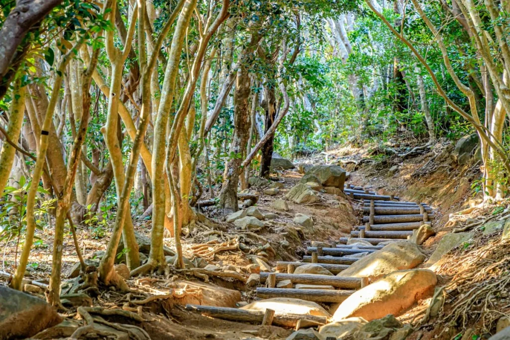 Best Things To Do In Itoshima (2026): 1 Day Itinerary, Food & Sightseeing 11 Keya no Oto Park
