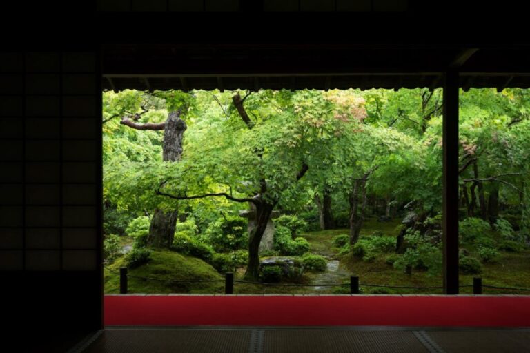 What To Do In Kyoto In The Rain