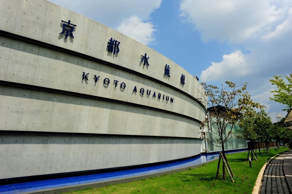 What To Do In Kyoto In The Rain (2026): 20 Cool Activities 21 Kyoto Aquarium / Umekoji Park