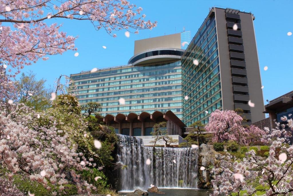 Cherry Blossom Tokyo 2026: 24 Best Viewing Spots 9 Cherry blossom Tokyo
