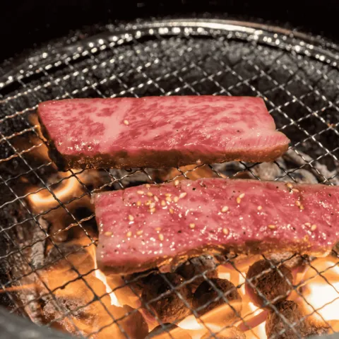 Osaka Street Food (2026): 8 Hidden Spots Revealed By Locals 12 Yakiniku (Grilled Meat)