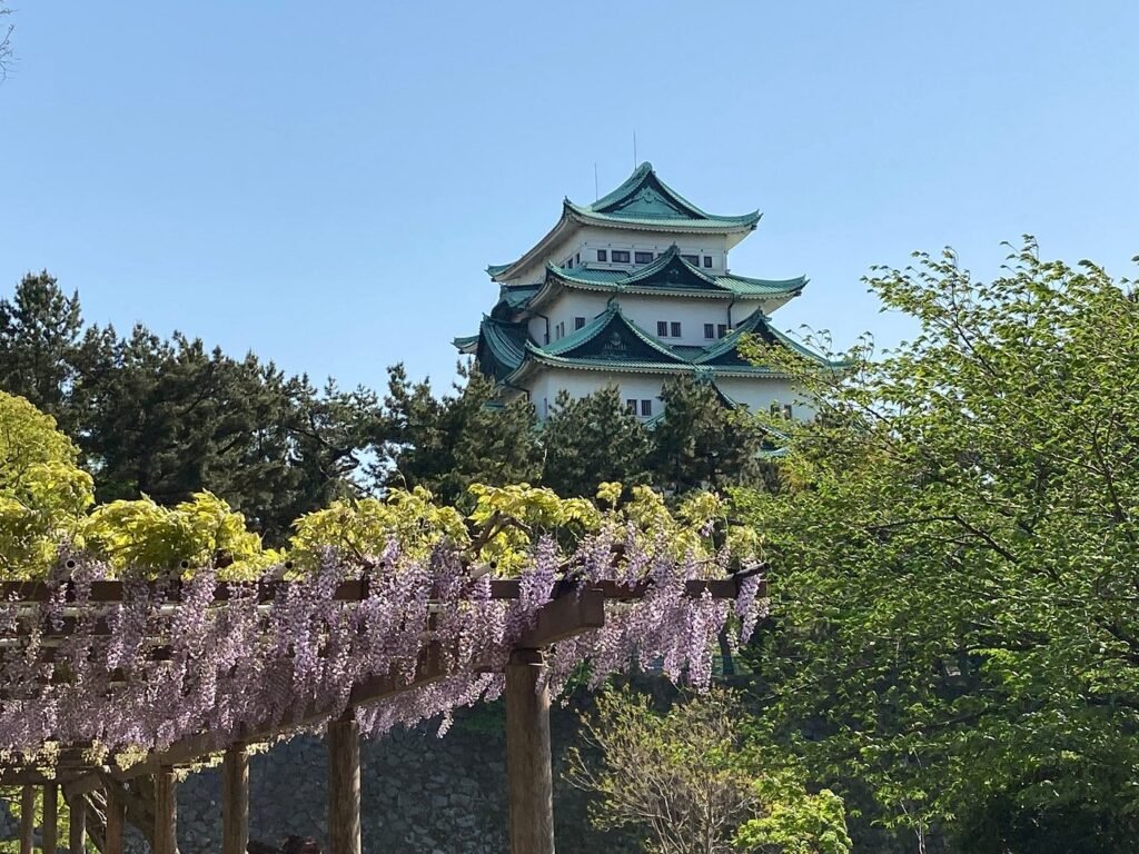 25 Best Things to Do in Nagoya (2026): Top Attractions, Food, and Hidden Gems 30 Meijo Park