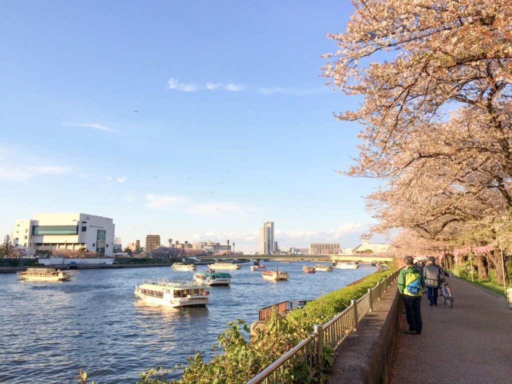 Cherry Blossom Tokyo 2026: 24 Best Viewing Spots 14 Cherry blossom Tokyo