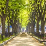 Sendai Itinerary 2 Days