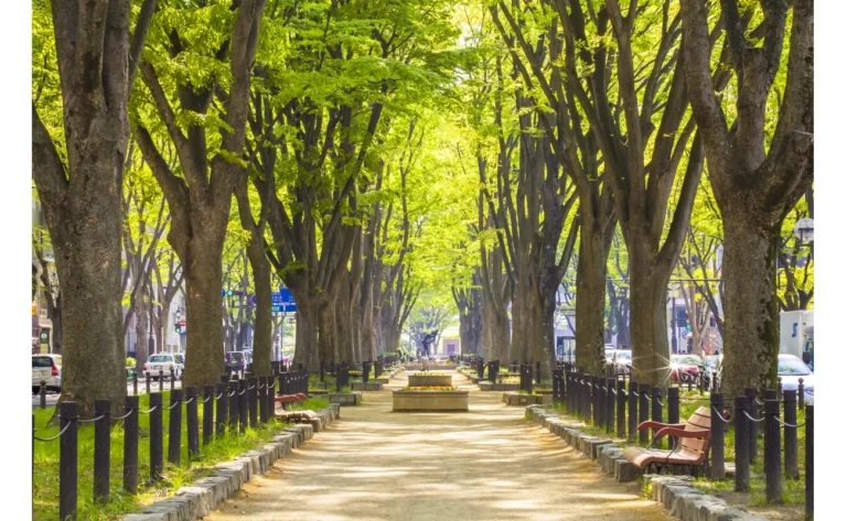 Sendai Itinerary 2 Days