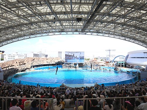 25 Best Things to Do in Nagoya (2026): Top Attractions, Food, and Hidden Gems 17 Nagoya Port Aquarium