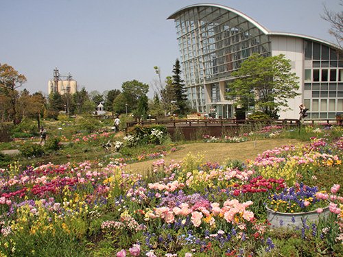 25 Best Things to Do in Nagoya (2026): Top Attractions, Food, and Hidden Gems 21 Nagoya Port Wildflower Garden Bluebonnet