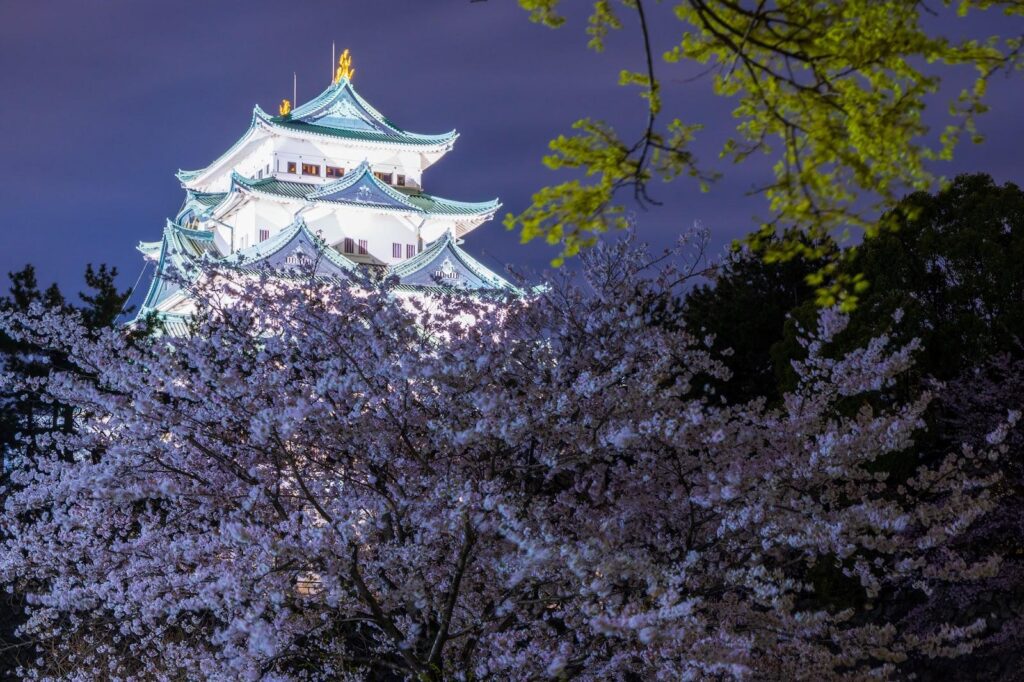Things To Do At Night In Nagoya (2026): Best Food, Nightlife & Nightime Sightseeing Spots 14 unnamed 1