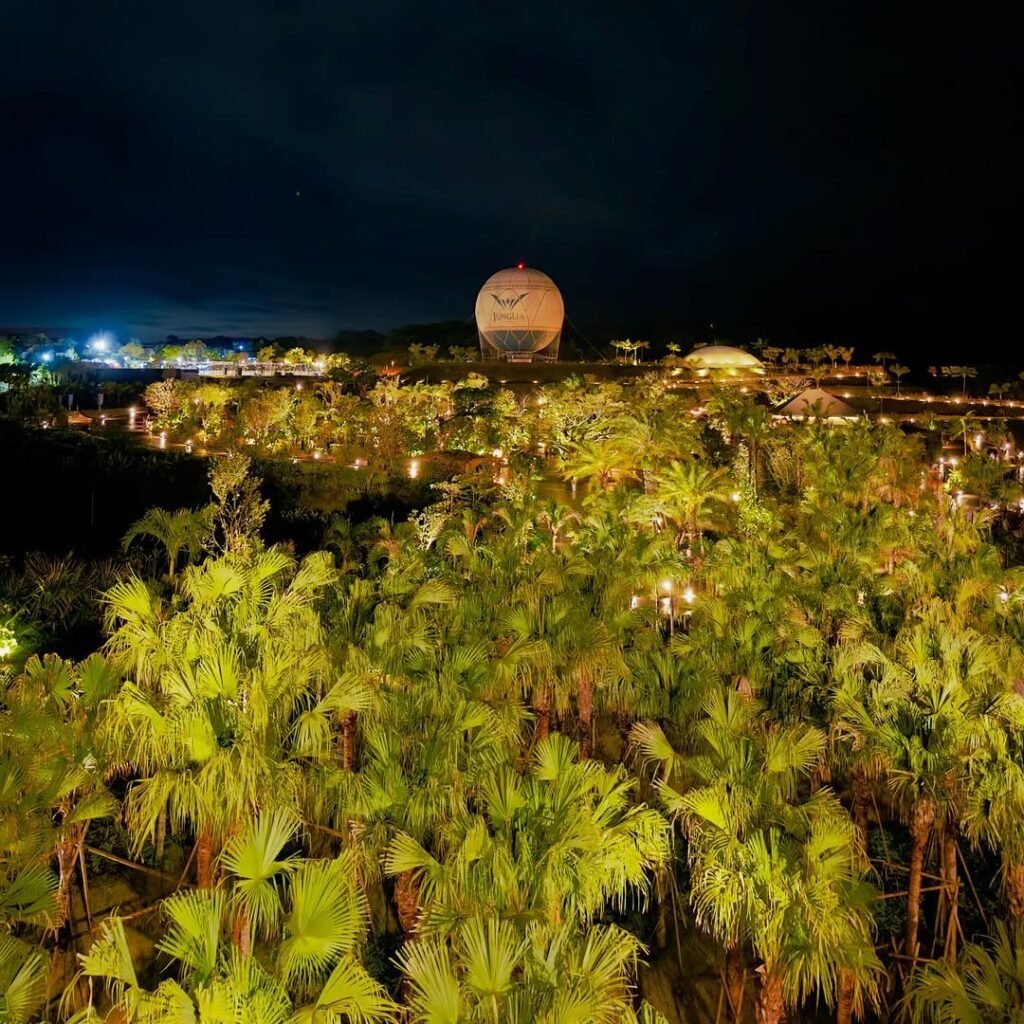 Night view Junglia Okinawa theme park