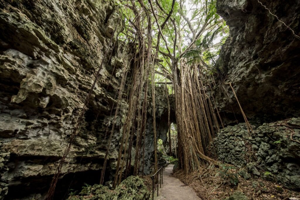 Gangala valley Okinawa