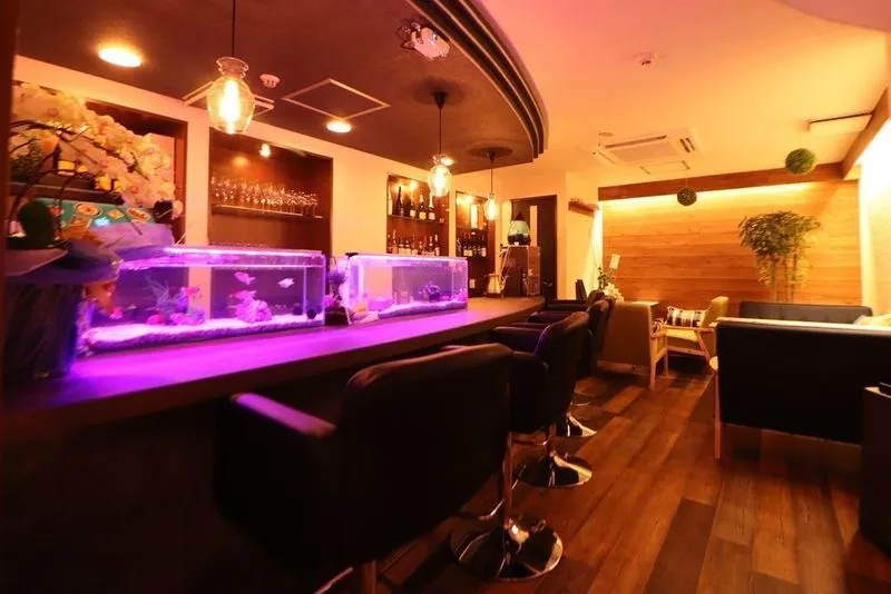 Best Bars In Kyoto (2026): 11 Sensational Spots to Experience 17 Bistro × Bar HAKONIWA in Kyoto